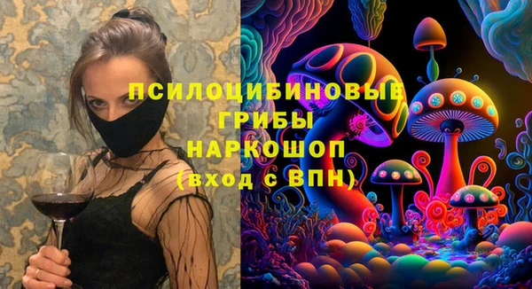 кокс Баксан